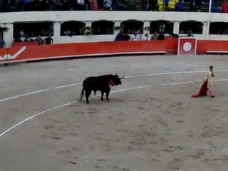 Fandino Alès 2011