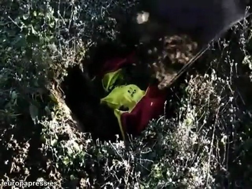 Las Juventudes de ERC critican la Constitución