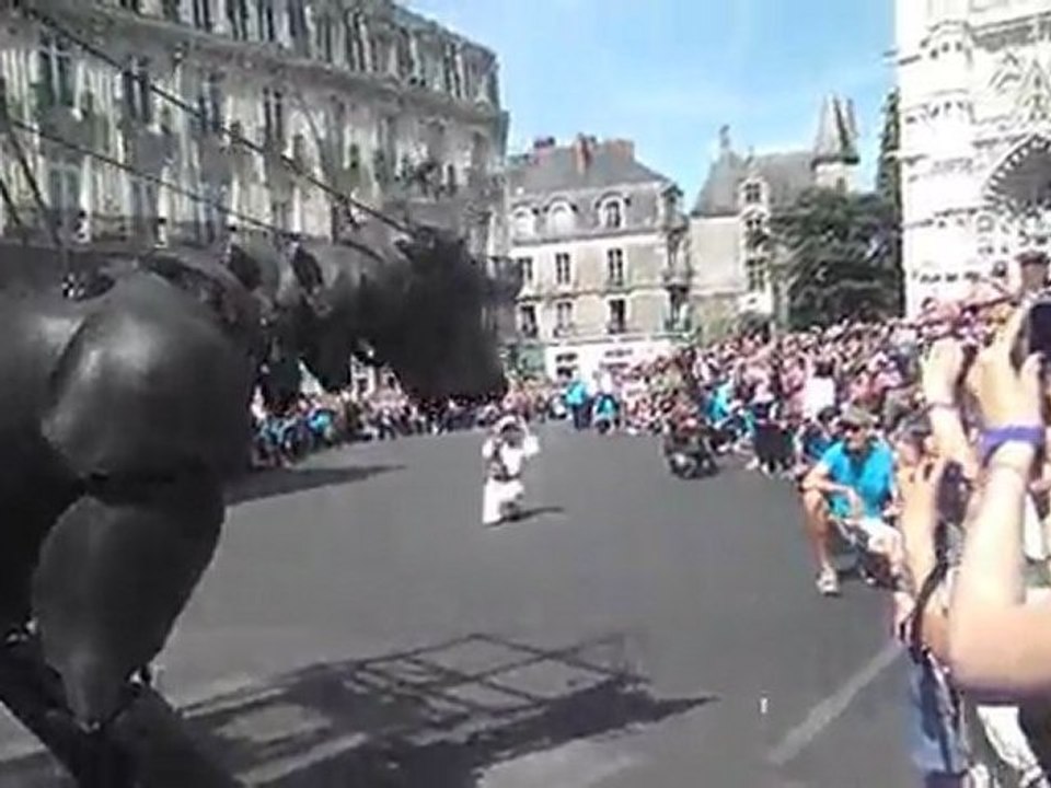 P5280019le chien xolo  très drole il lèche et lui font faire la course