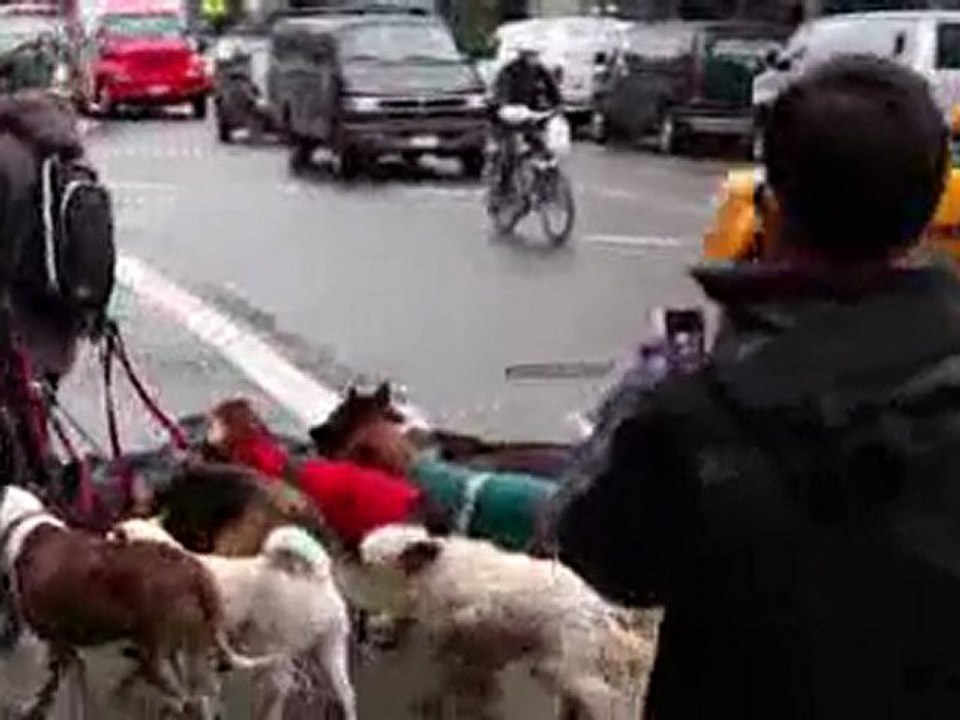 Range Rover Evoque, Ok Go