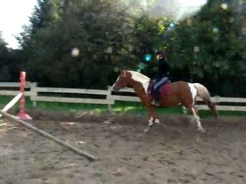 roissam saut galop main dans le dos