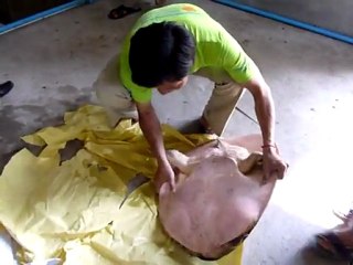 Cambodian monks help protect rare turtles