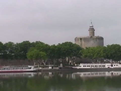 Sortie en Camargue Aigues-Mortes