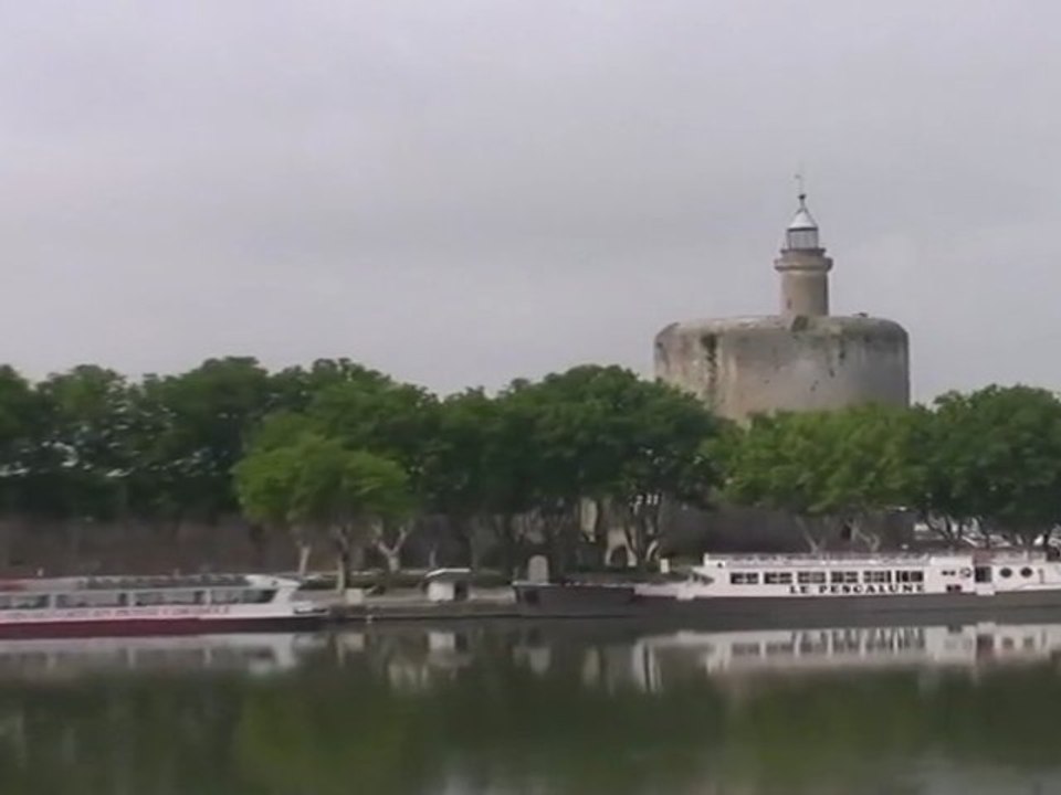 Sortie en Camargue Aigues-Mortes