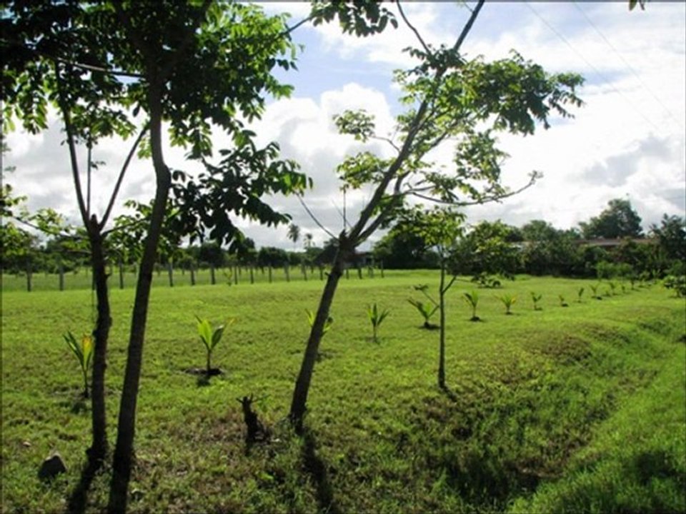 Strandgrundstück Playa Las Lajas, Panama
