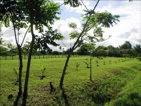 Strandgrundstück Playa Las Lajas, Panama