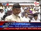 TDP stalls Assembly proceedings over floods