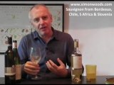 Simon Woods Wine Videos: Sauvignon from Chile, ...