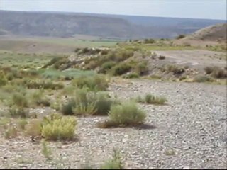 Grandfather Martin's Safe Haven 4Corners