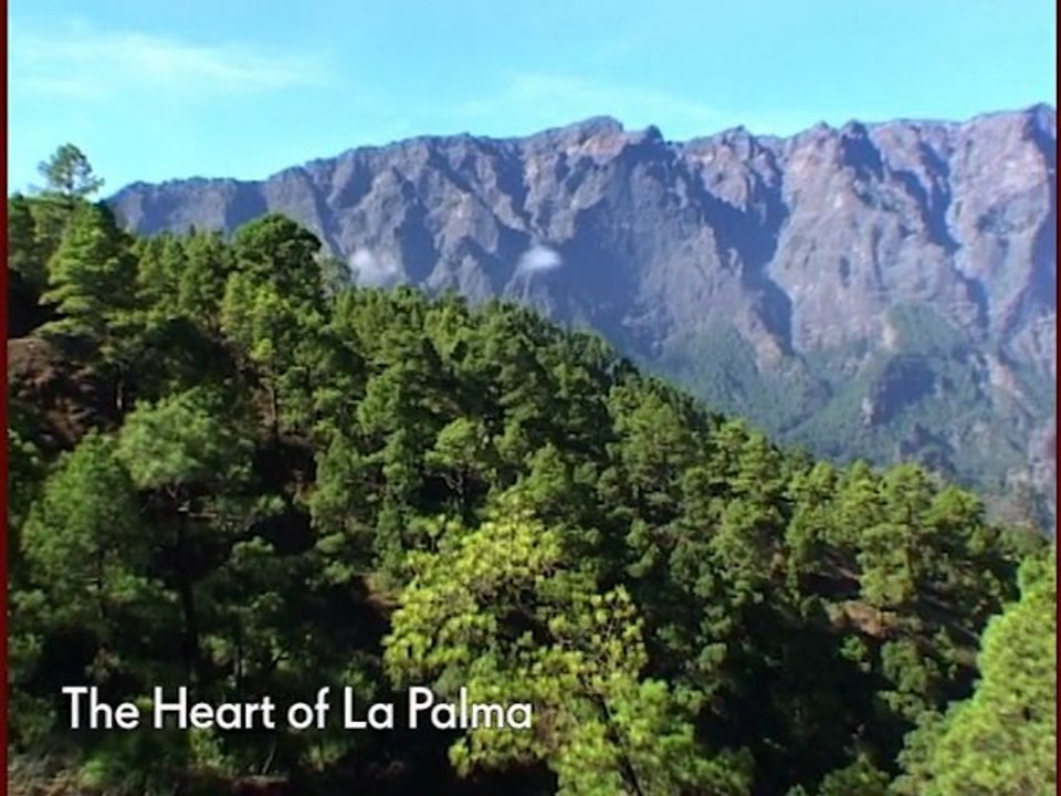 The Heart of La Palma - Luxury Shore Excursion - Cunard Line