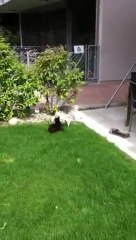 IMG_0863 i phone suiss