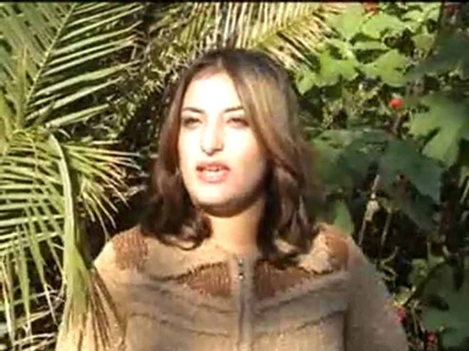 KAMEL N'ALI ELVISA