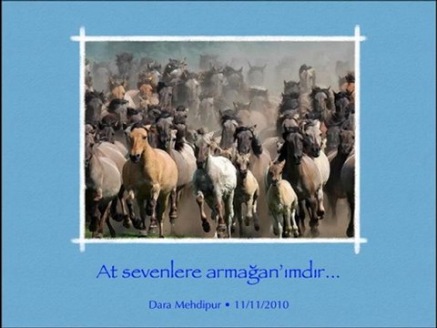 Yusuf Hayaloğlu Ah Ulan Rıza