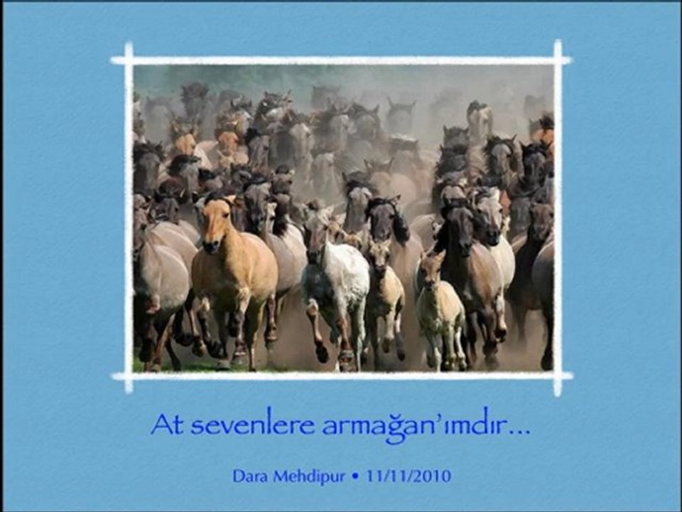 Yusuf Hayaloğlu "Ah Ulan Rıza"