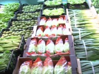 Alemanha repara danos