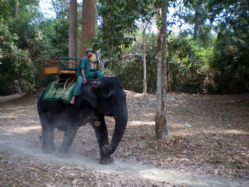 Eléphants & cornacs LAOS VIETNAM