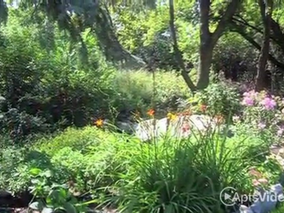 Fox Forest Townhomes in Plymouth, MN - ForRent.com