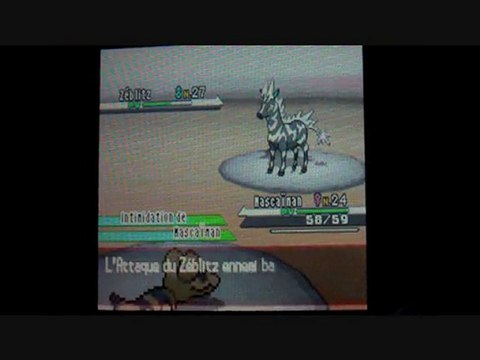 W.T Pokemon Blanc / 16 : Un combat Electrique
