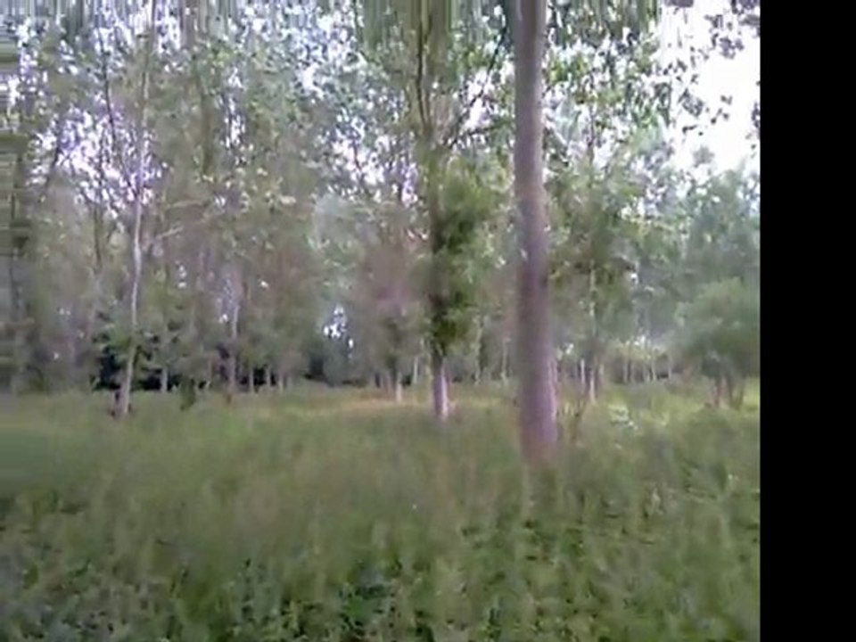 paintball 050611