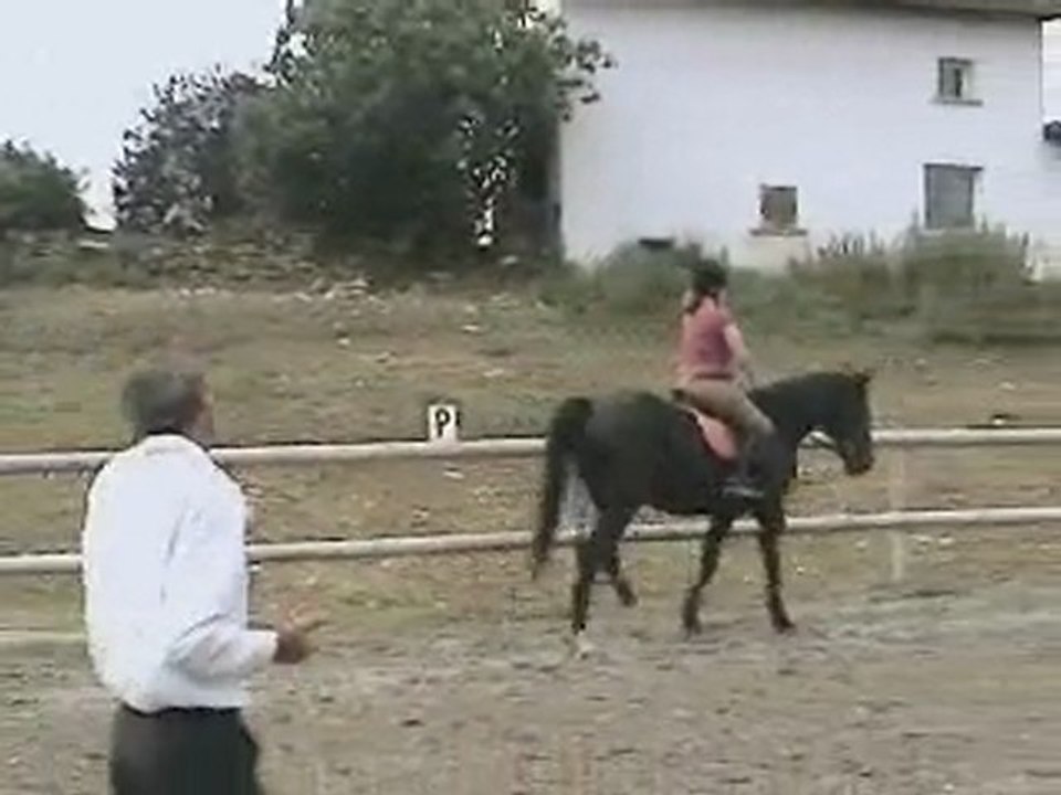 Première séance avec Petit Toon's