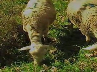 Sillans la cascade site naturel du Haut Var