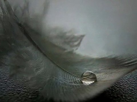 NİLÜFER - UNUT GİTSİN