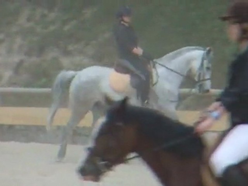 Roméo, mon choupinet d'amour ( le pauvre !!!! )