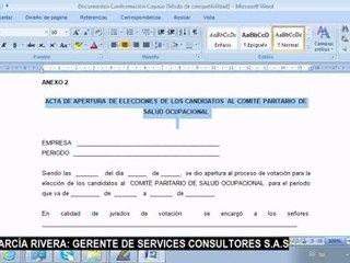 DOCUMENTOS PARA CONFORMACIÓN DEL COPASO ERIK GARCÍA RIVERA