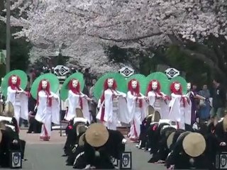 japon spectacle festival yosakoi danse park よさこいinアンデルセン