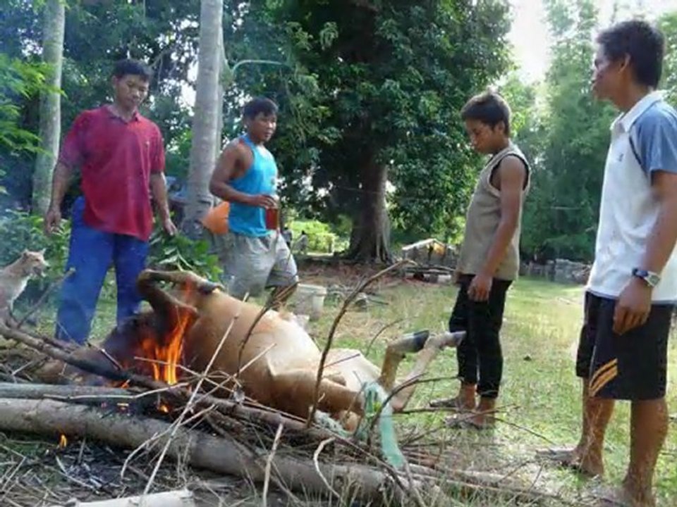 Vache grillée LAOS