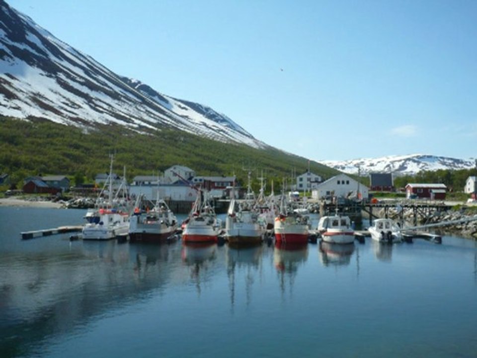 Oldervik