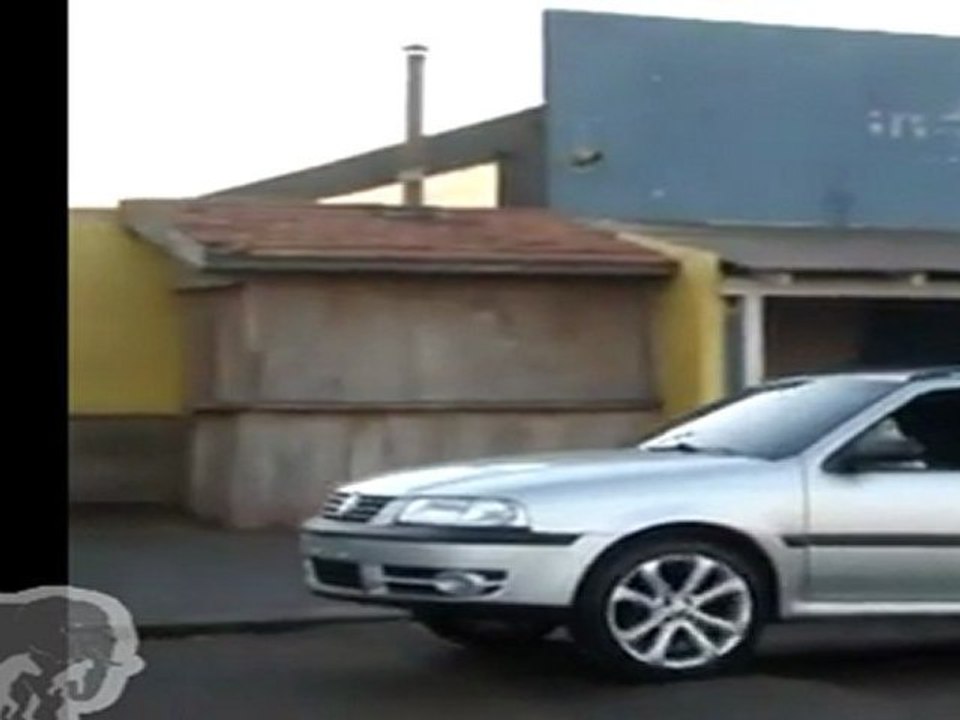 Un chien conduit une voiture