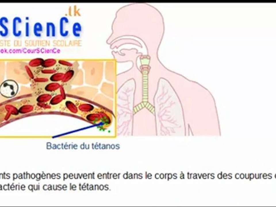 DEFENCE NATURELLE 1