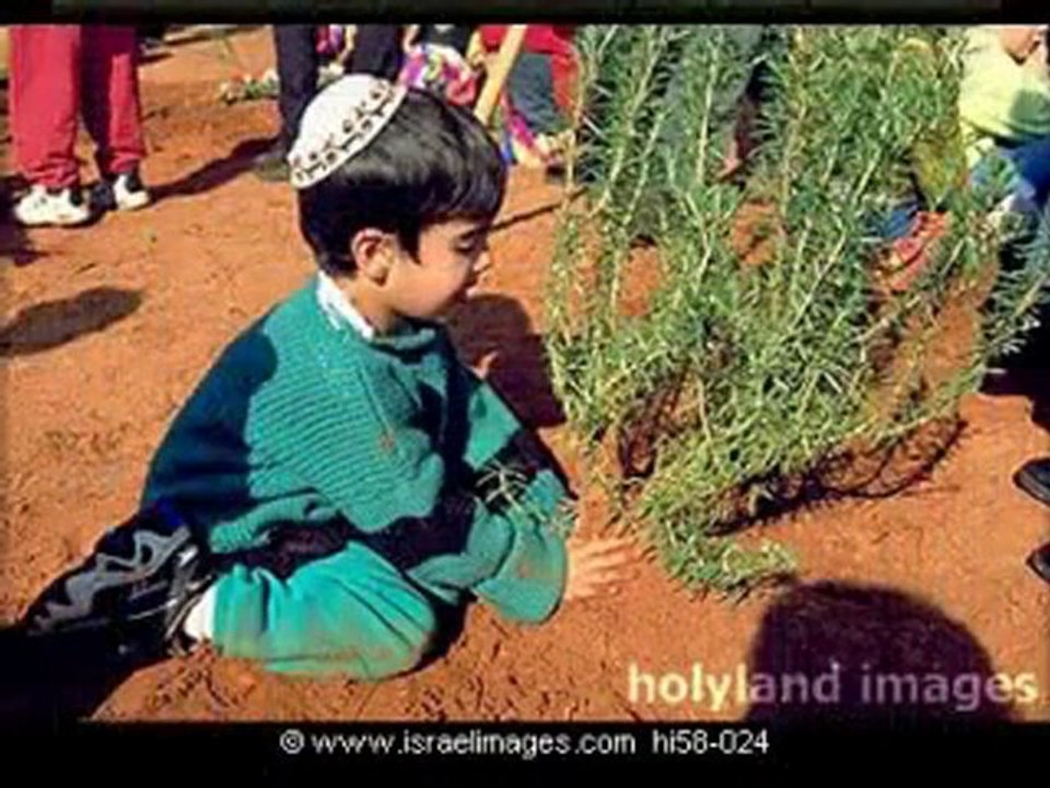 SHEMA ISRAEL