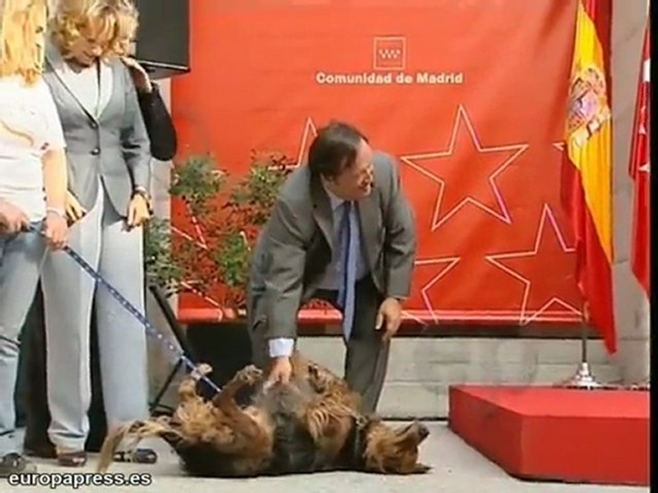 "Los sindicatos quieren huelga contra Aguirre"