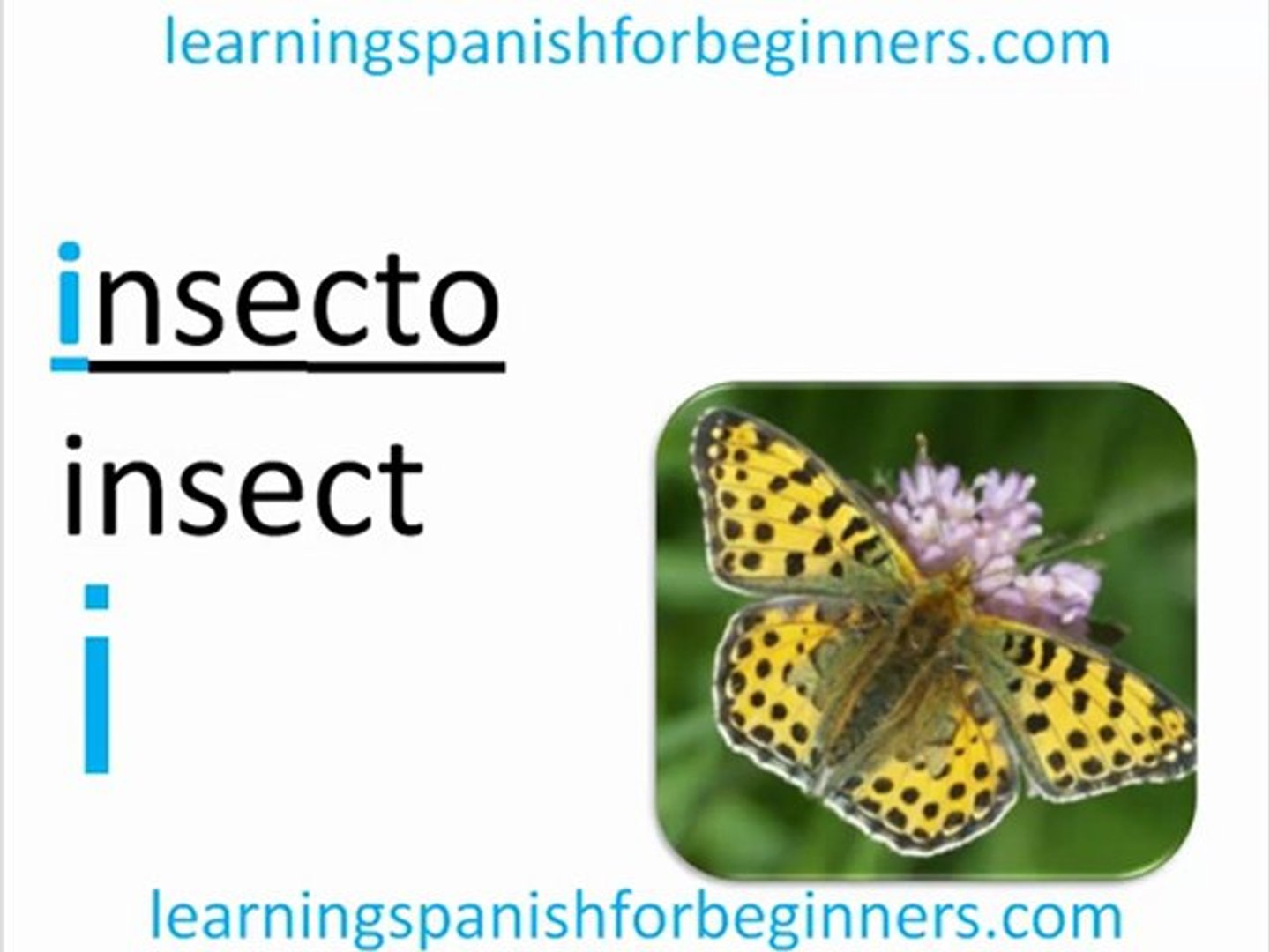 ⁣Learning Spanish for Beginners - Spanish Vowels