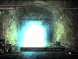 Guide Demon's Souls HD FR 039