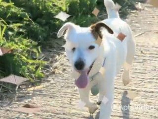 Belovida at Newbury Park (LUXURY LIVING FOR THOSE 55 ...