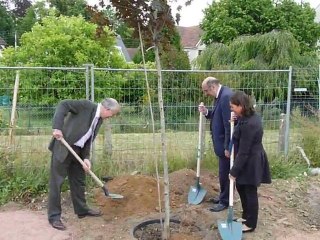 Caen : le chantier de réhabilitation de la cité-jardin des rosiers débute