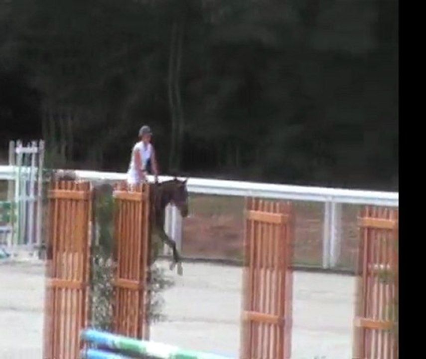 Star des Mioko CC le Lion d'Angers 4 juin 2011