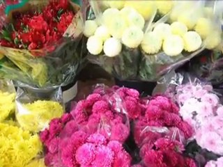 FLORISTERÍA HNAS. GÓMEZ - FLORISTERÍA - en Madrid