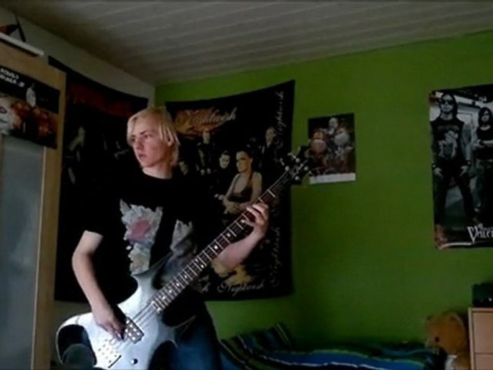 Animal I Have Become - 3 Days Grace (Bass Cover) [HD]