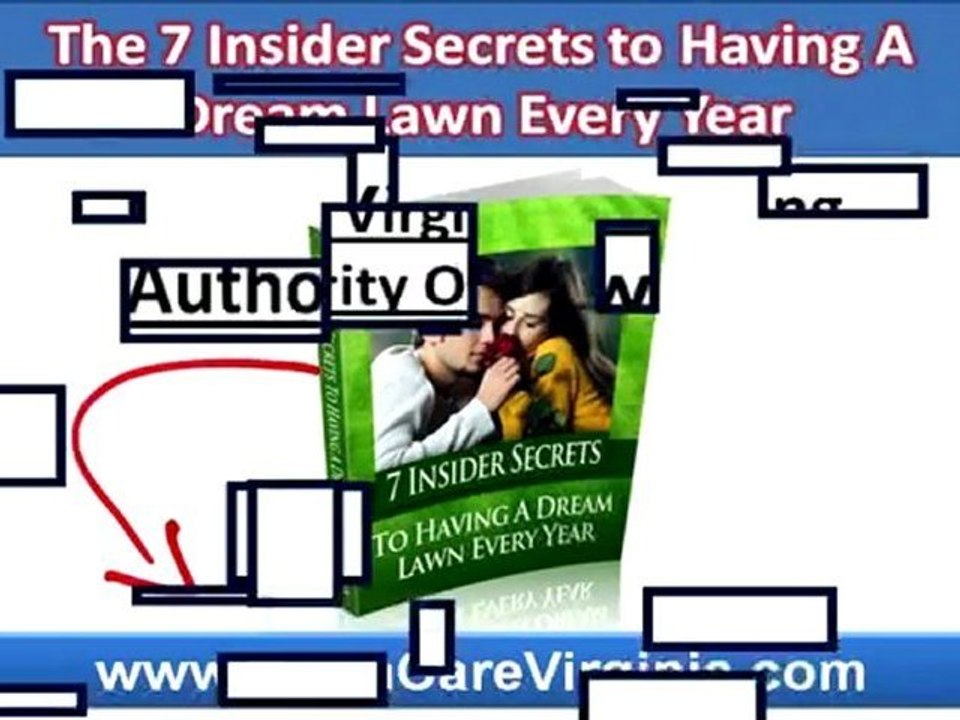 Harrisonburg VA Lawn Care Company|Green Lawn Care