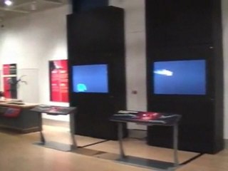 L’exposition « Mammifères extrêmes » au Musée canadien ...