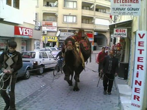 şu milasın içinde - nazmi yükselen türküsü