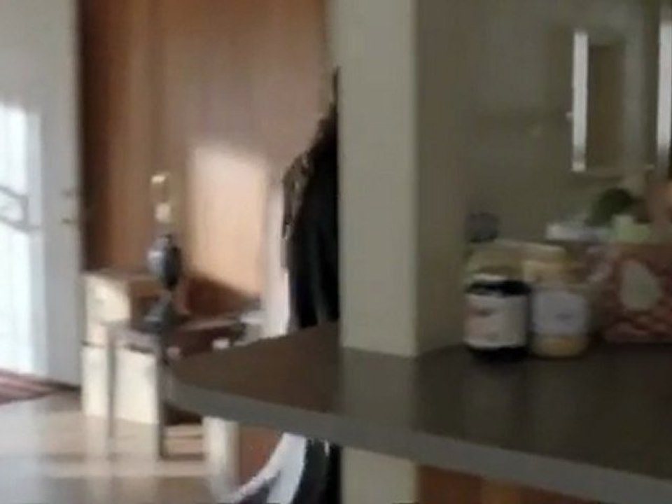 Scene #3 from In Plain Sight  - "Something A-Mish" 6/12