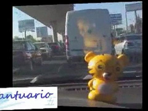 El videoescandalo de Peña Nieto, las primeras ventajas de las alianzas PRD PAN