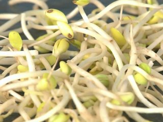 'Brotos' são culpados