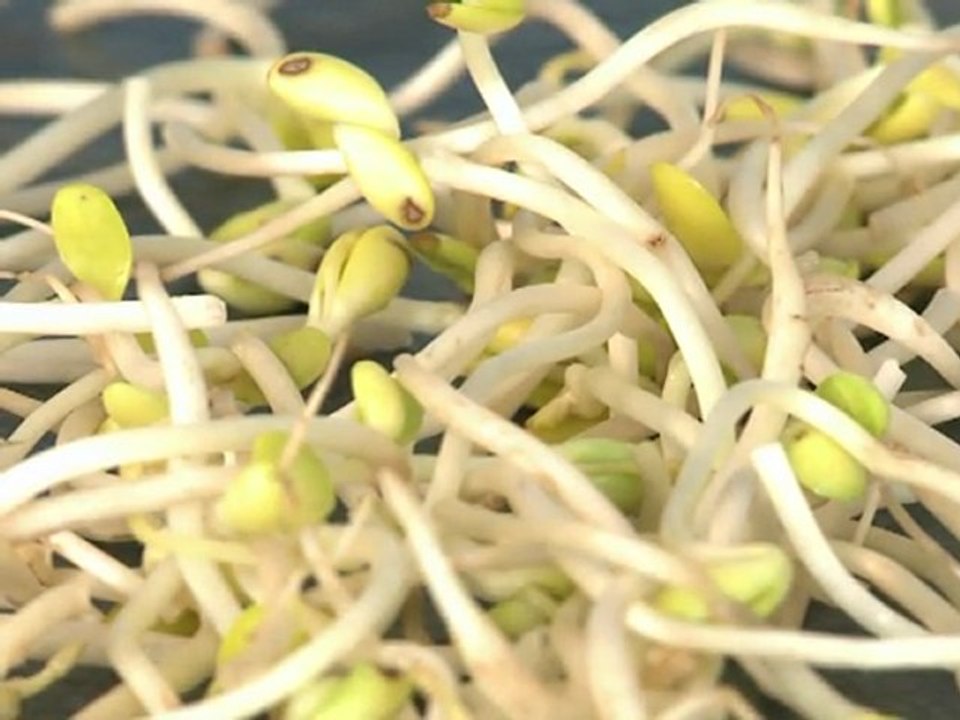'Brotos' são culpados