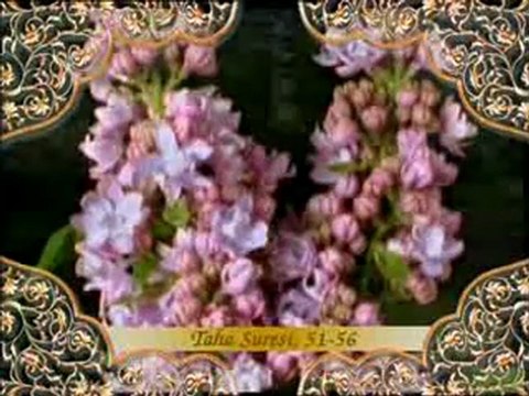 Hz. Musa kıssası, Hz. Musa'nın Firavun'a tebliği